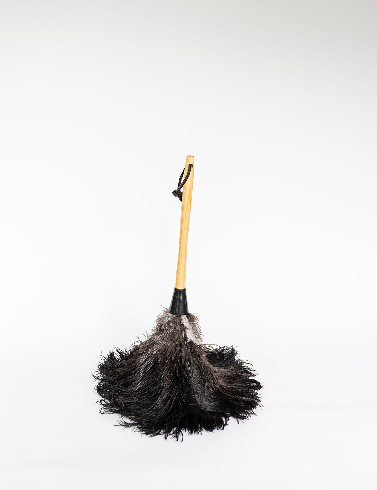 The Feather Duster