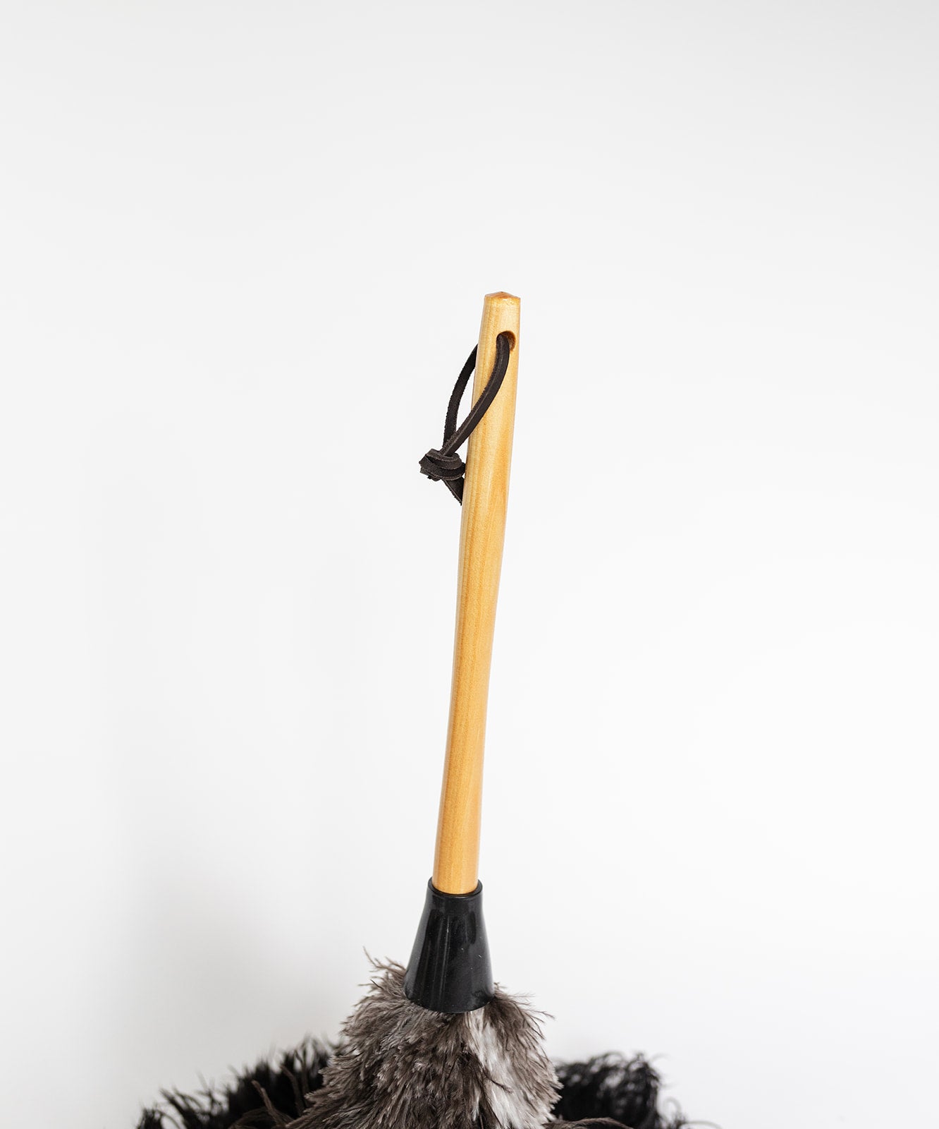 The Feather Duster