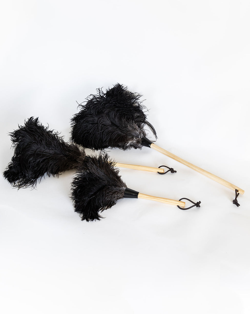 The Feather Duster