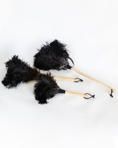 The Feather Duster